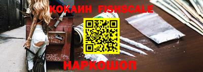 индика Кингисепп