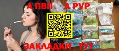 индика Кингисепп