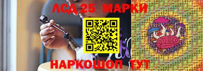 индика Кингисепп