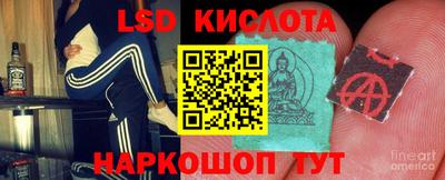 индика Кингисепп