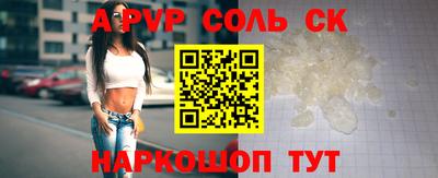 индика Кингисепп