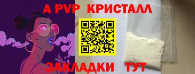 индика Кингисепп