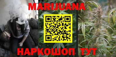 индика Кингисепп