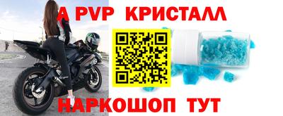 индика Кингисепп