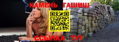 индика Кингисепп