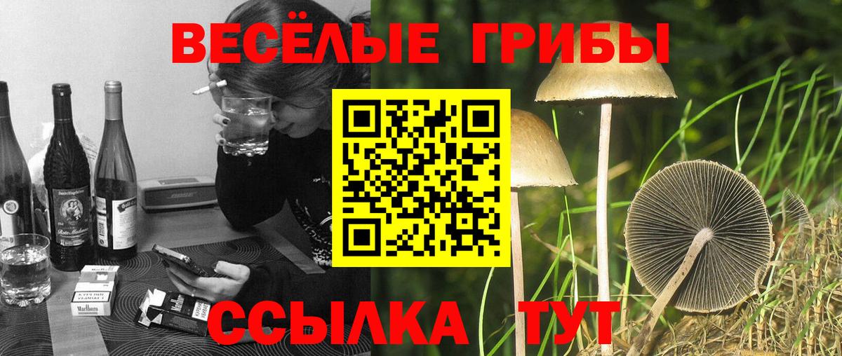 Галлюциногенные грибы MAGIC MUSHROOMS Королёв