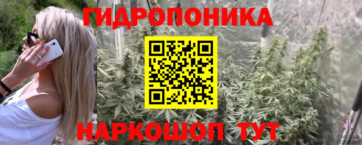 Шишки марихуана Ganja Королёв